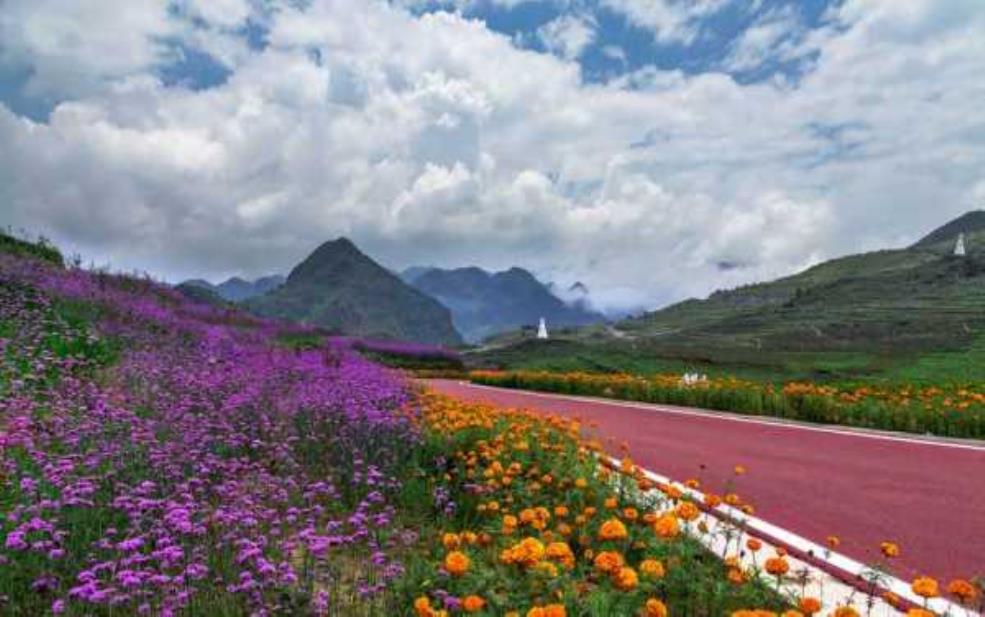  野鸡坪景区, 探索美丽的自然奇观 