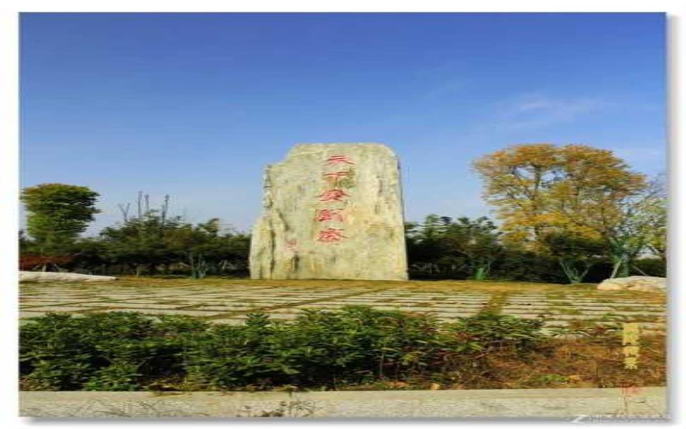 金刘寨，探索这片神秘之地的魅力 