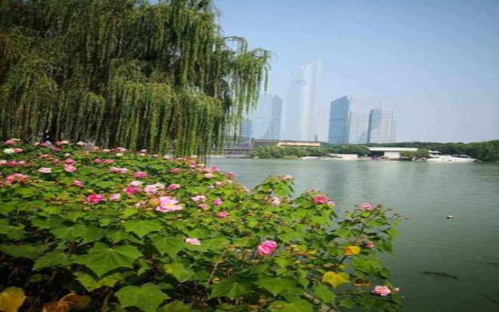 金鸡湖是人工湖吗,探索其背后的历史与魅力