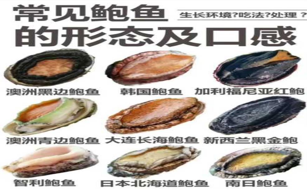  一线天鲍鱼, 如何挑选和烹饪？ 