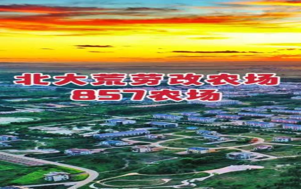  五九七农场, 探寻农业现代化的新机遇 