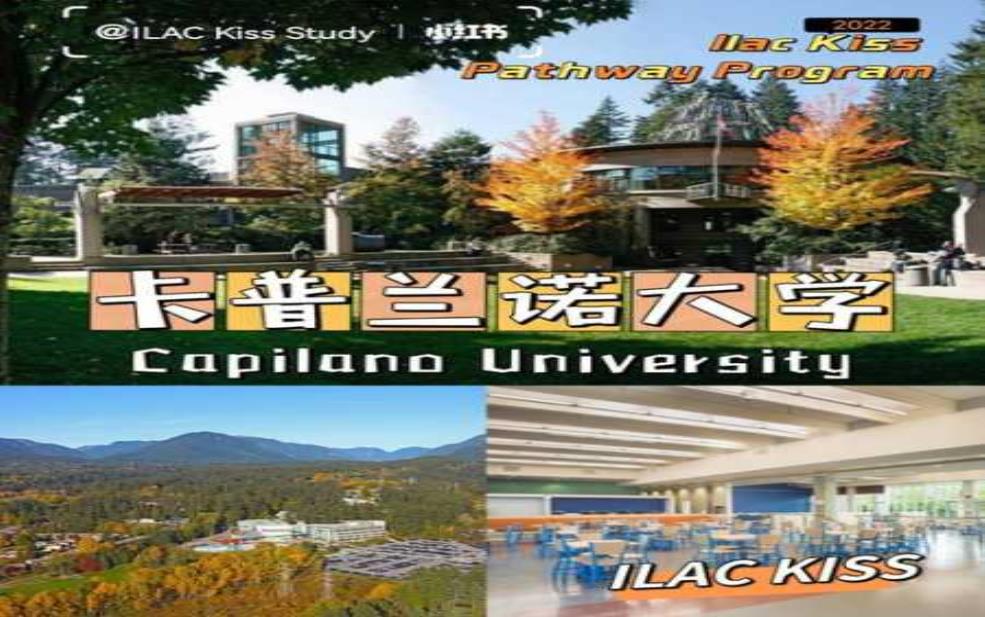 卡普兰诺大学, 如何选择适合的专业？ 