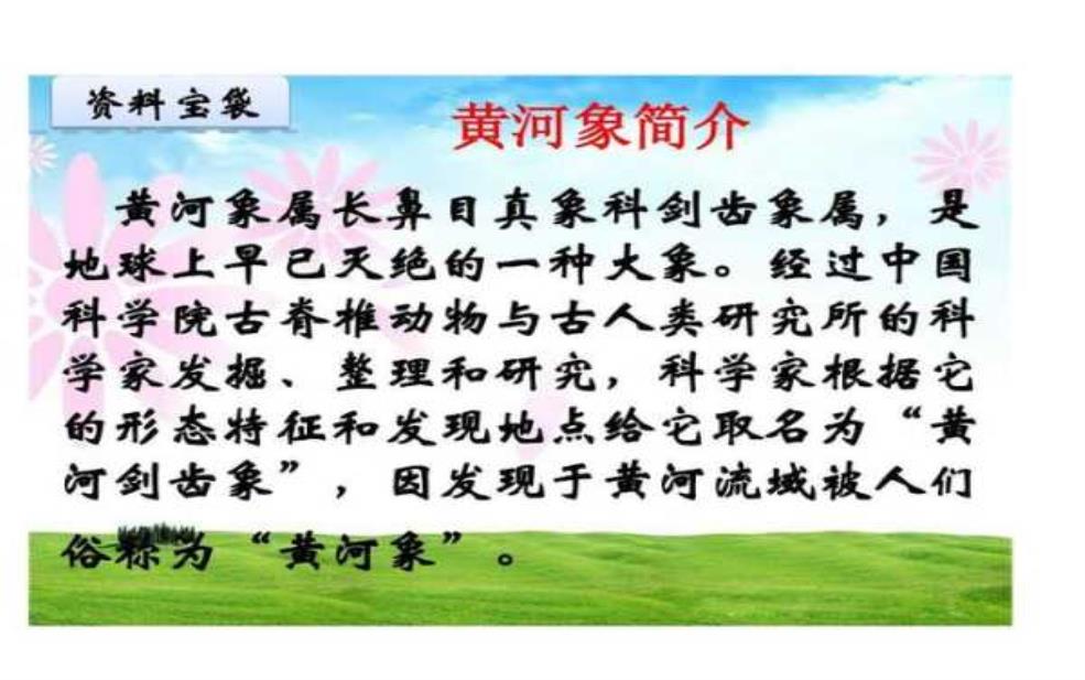 康王河探索之旅,你知道它的历史吗?