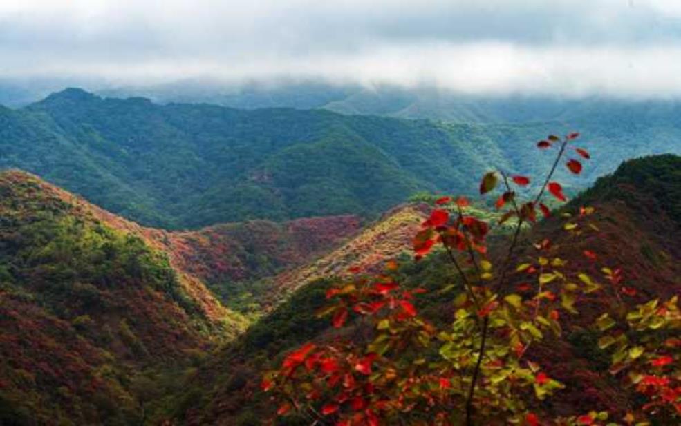  甘山国家森林公园，探秘自然之美与奇观 