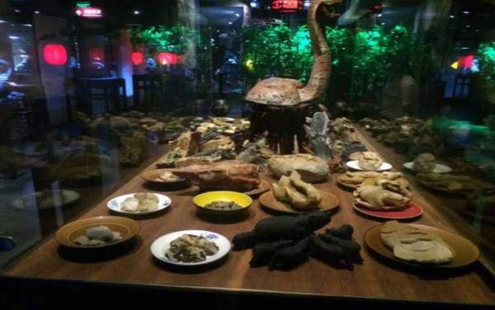 石头记矿物园, 探秘自然界的奇妙宝藏