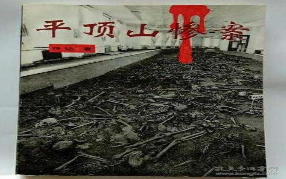  平顶山惨案简介，案件经过与影响分析 