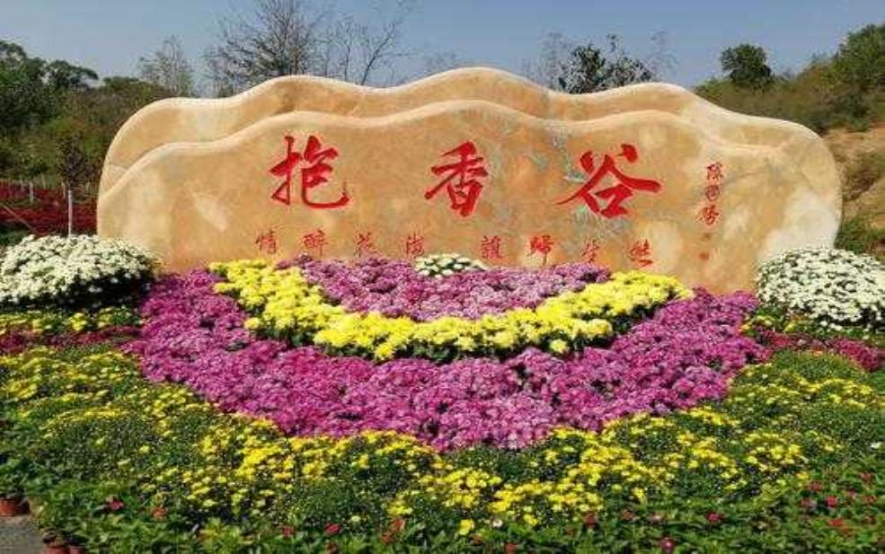  抱香谷, 体验自然香气的最佳去处 
