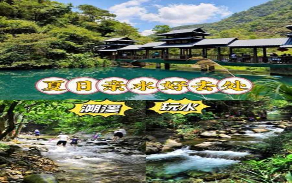 紫云谷门票价格, 你了解了吗?