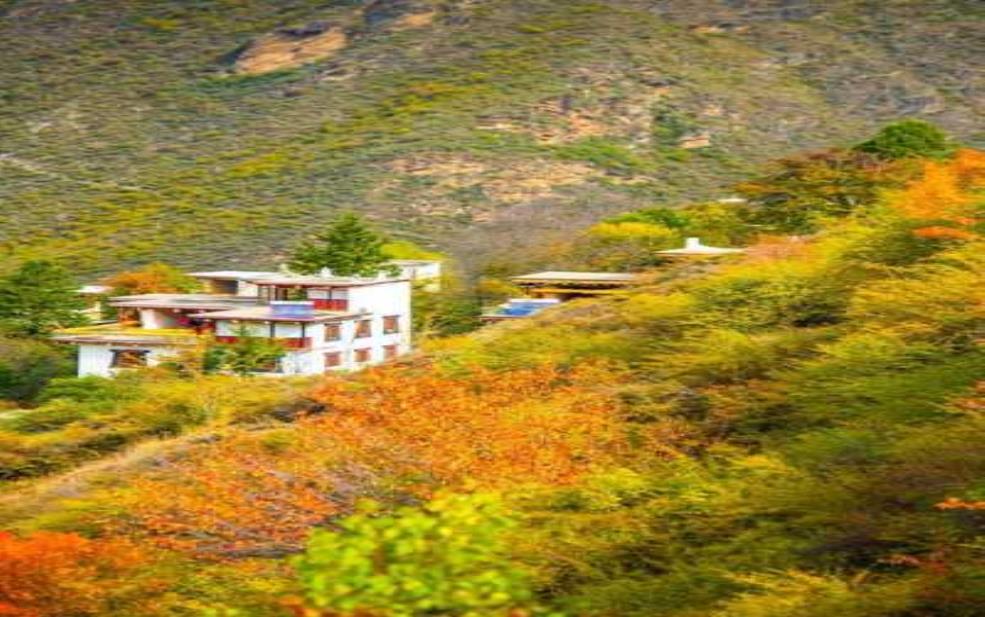 西腰山村,探索最美乡村旅游景点
