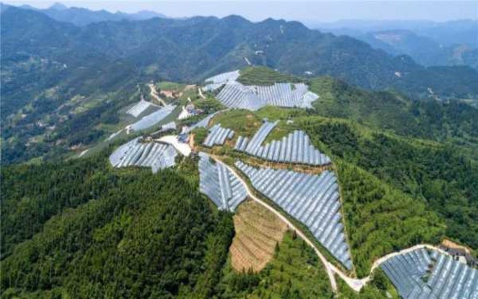 万山网官网, 你应该了解的优势和功能