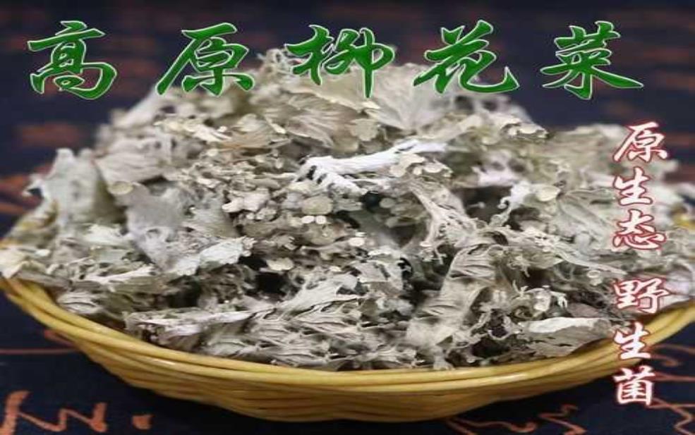  柳花菜的营养价值，如何正确食用？ 
