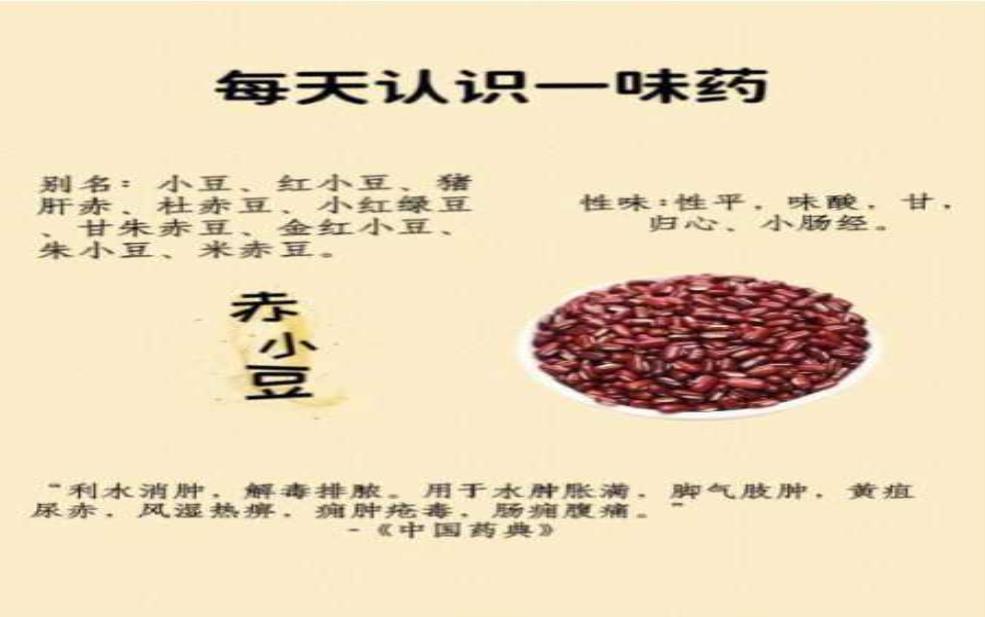  火山豆的营养价值，适合哪些人群食用？ 