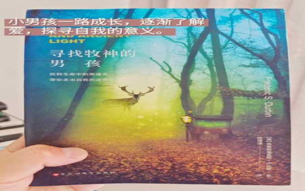  卡里波, 探索这个神秘品牌的魅力 