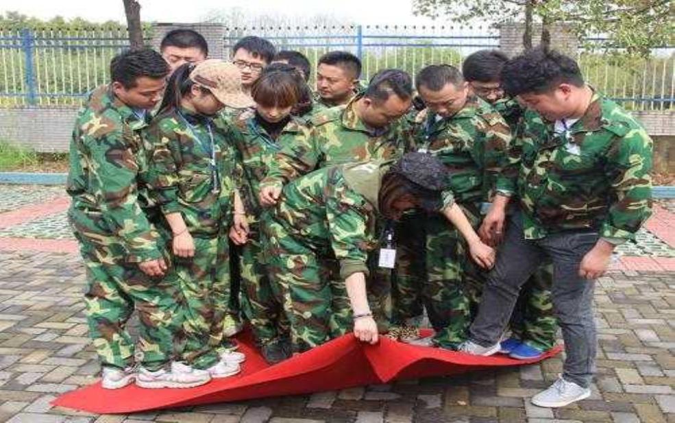  翻叶子，如何提升植物生长效果？ 