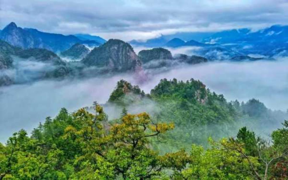 老界岭在哪里, 探索这片神秘的自然风光