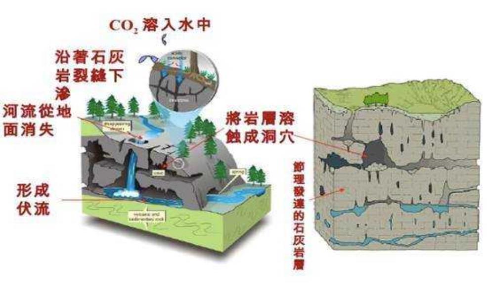 子房洞, 揭秘其形成原因与影响