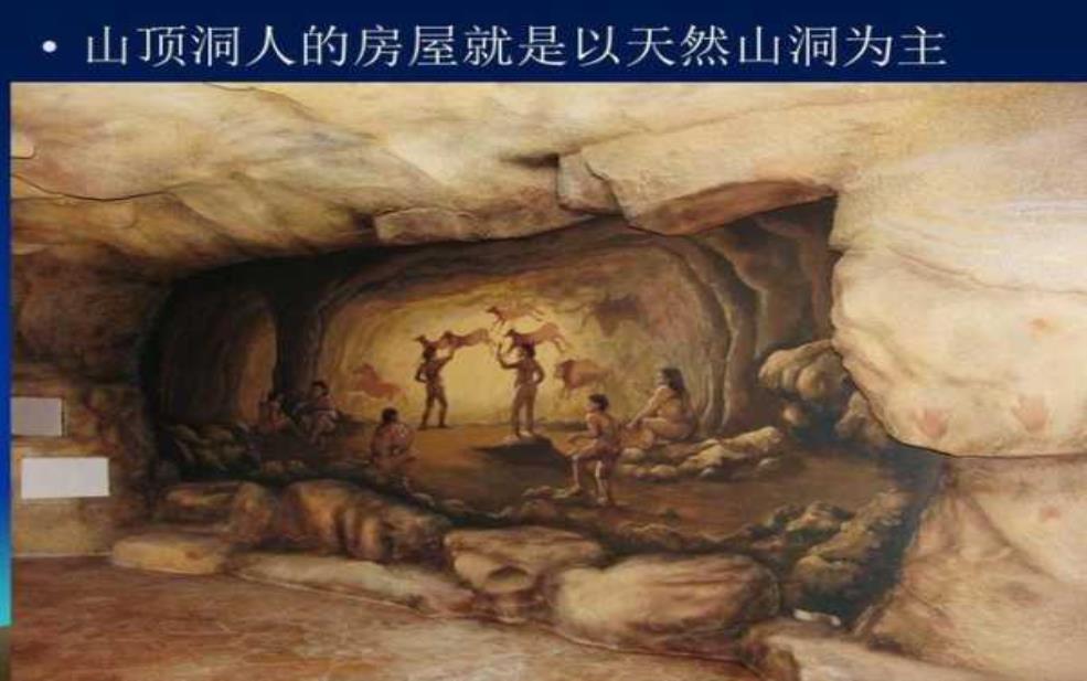 子房洞, 揭秘其形成原因与影响