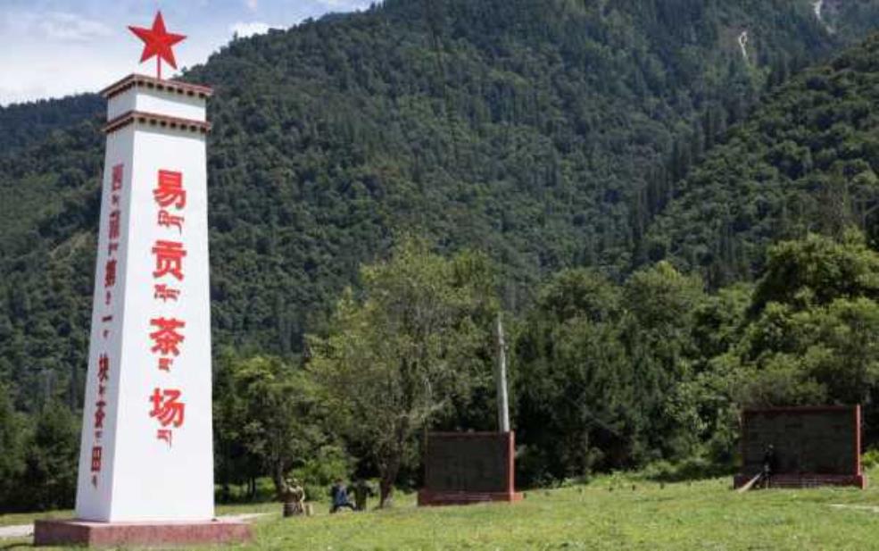 易贡茶场, 探寻茶园的魅力与故事