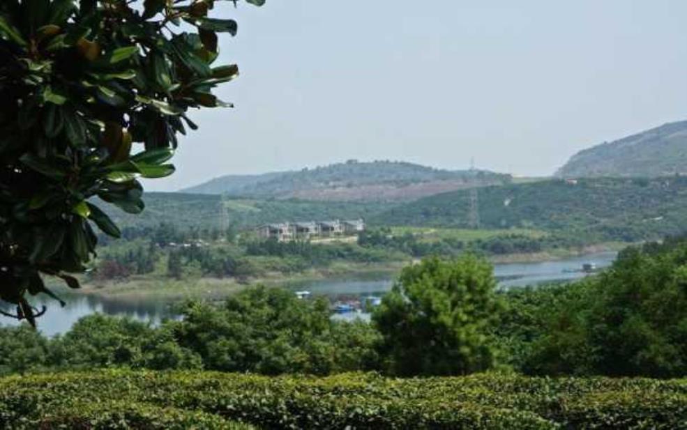 松涛山庄:体验自然之美与宁静休闲