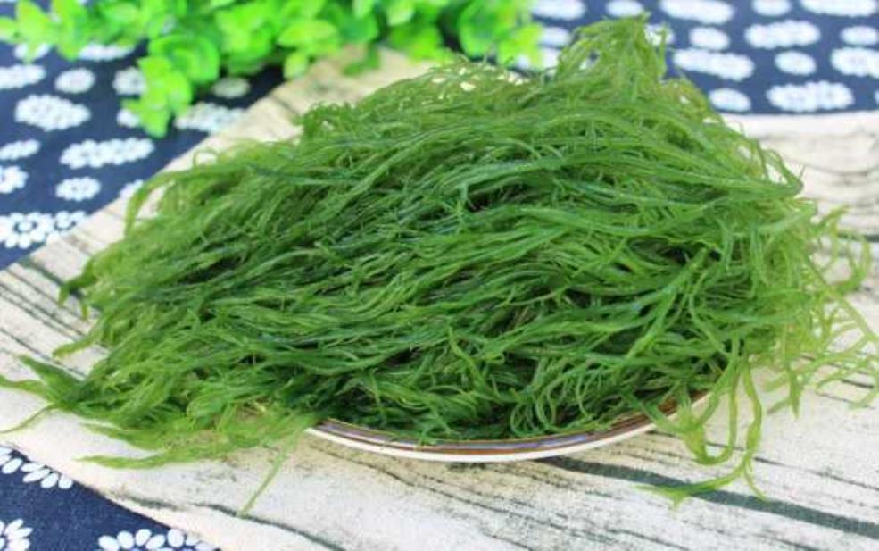 盐须菜图片,了解这种海洋蔬菜的独特魅力