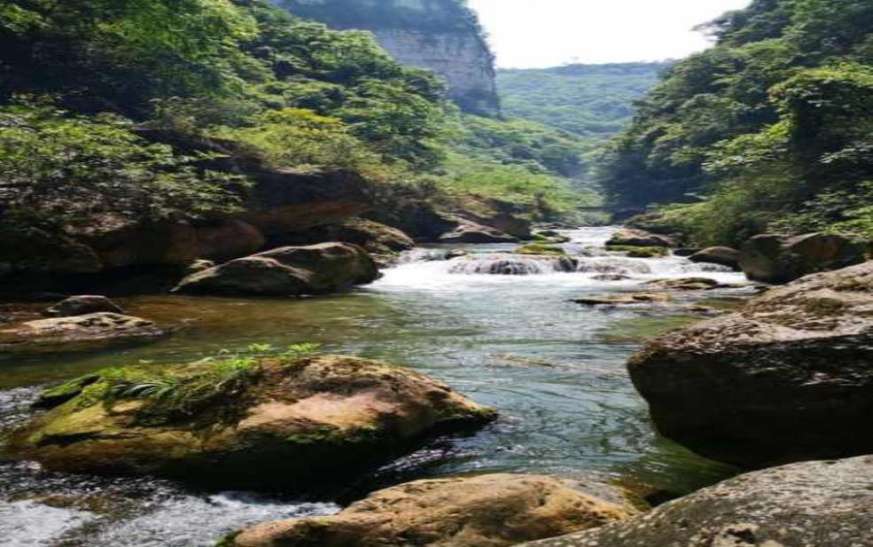  紫江地缝风景区, 探寻大自然的奇妙秘密 