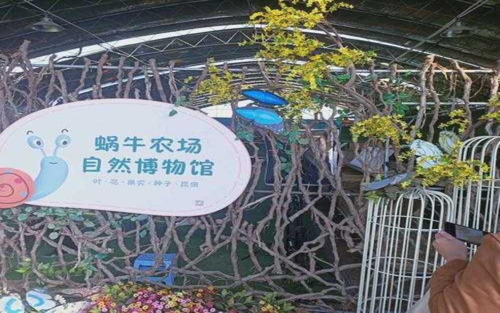  蜗牛小镇, 探索这个梦幻小世界的魅力 