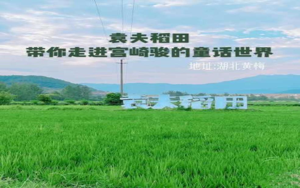  袁夫稻田：探寻稻田背后的秘密与故事 