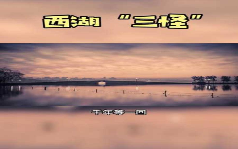  西湖三怪，揭秘它们的由来与趣闻 