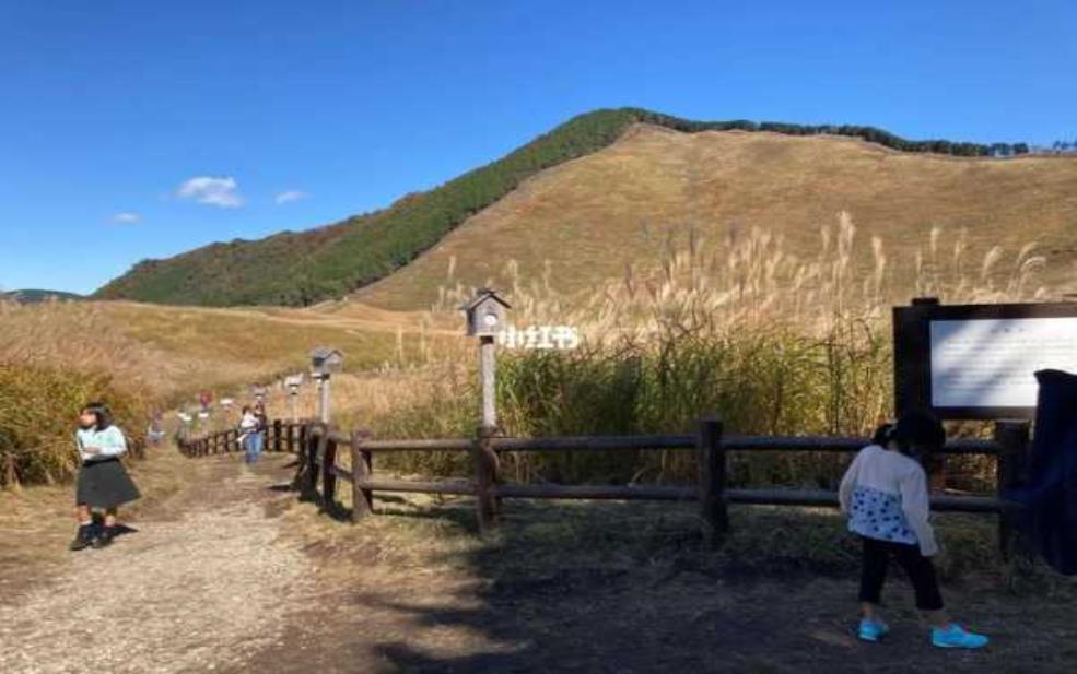  8月奈良天气，适合旅游吗？ 