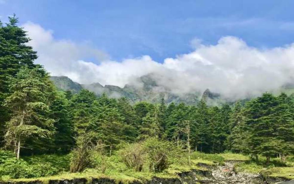  跷碛藏寨天气, 适合旅游的最佳时机是什么？ 
