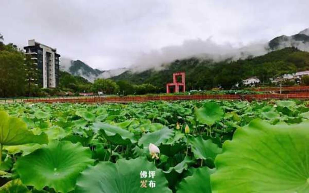  佛坪县旅游景点,有哪些不容错过的美丽风光？ 