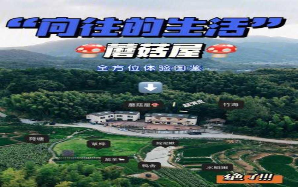  天生农庄：如何体验纯粹的田园生活？ 