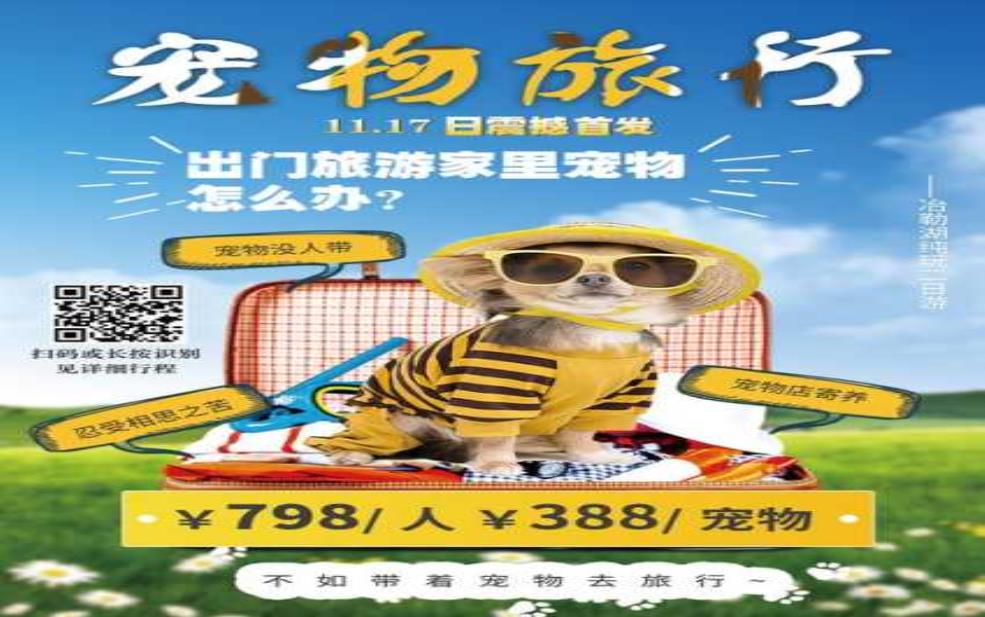  宠乐游，如何让宠物享受无忧旅程？ 