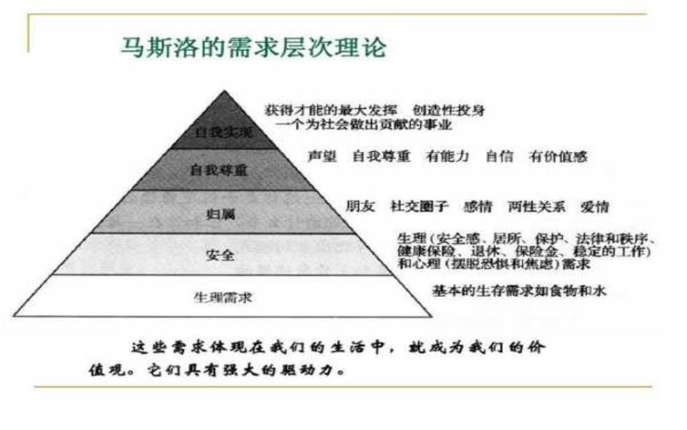  布鲁姆斯：探索其背后的独特魅力与价值 