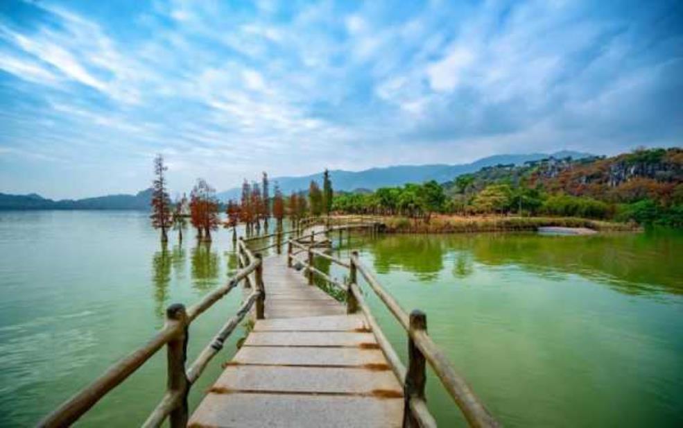  星湖园, 探索这片风景如画的绿洲 