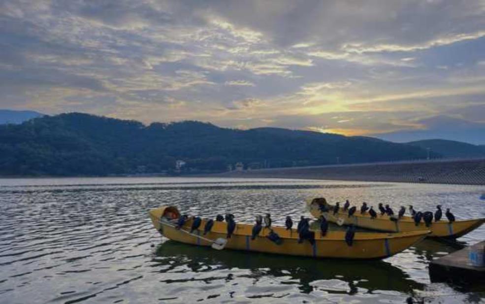 曼飞龙水库, 探索其美丽风景与特色活动