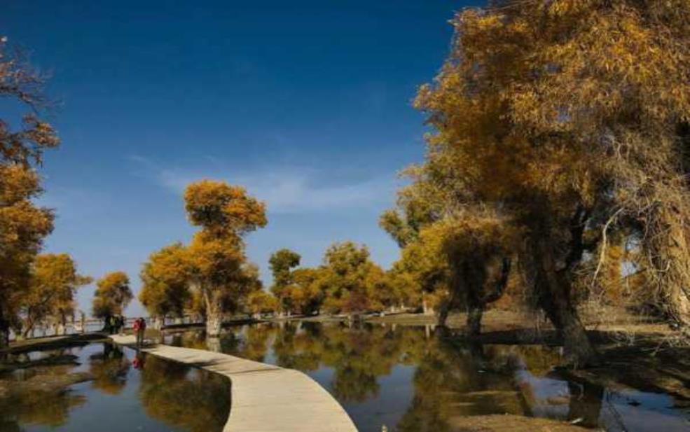沙雅县旅游景点,有哪些不可错过的风景?