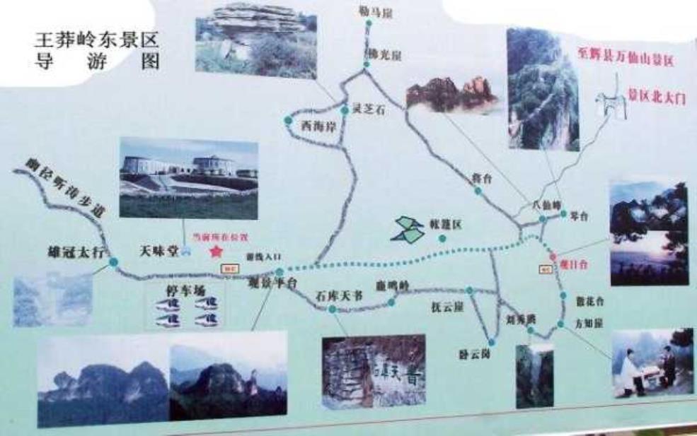 王莽岭旅游攻略, 探索最佳游玩时间与路线