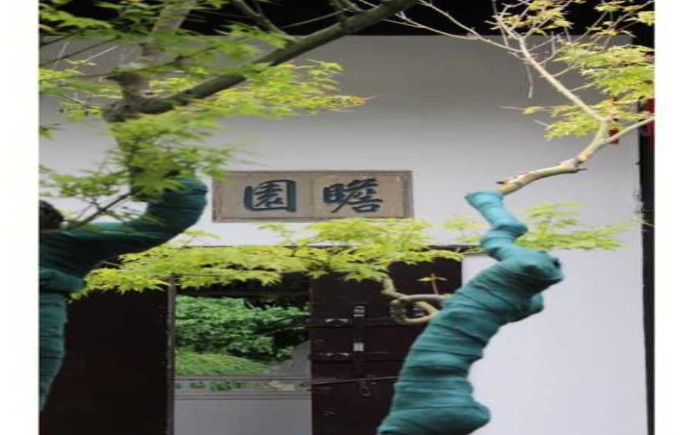 瞻园开放时, 你准备好了吗?