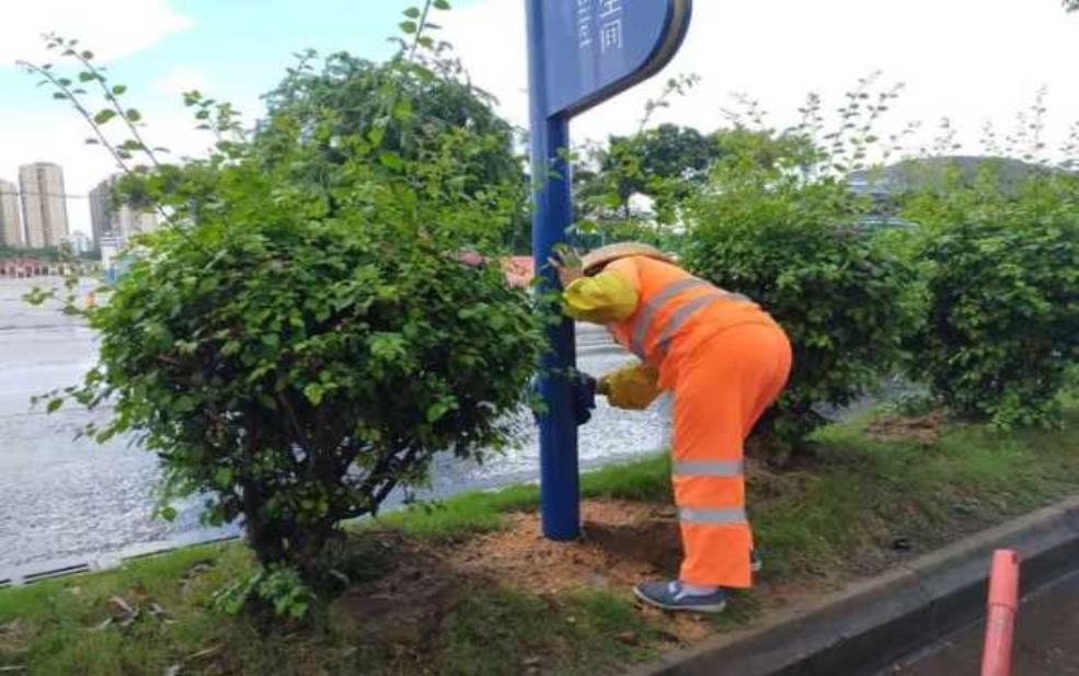  重庆健康证限号, 如何避开高峰期？ 