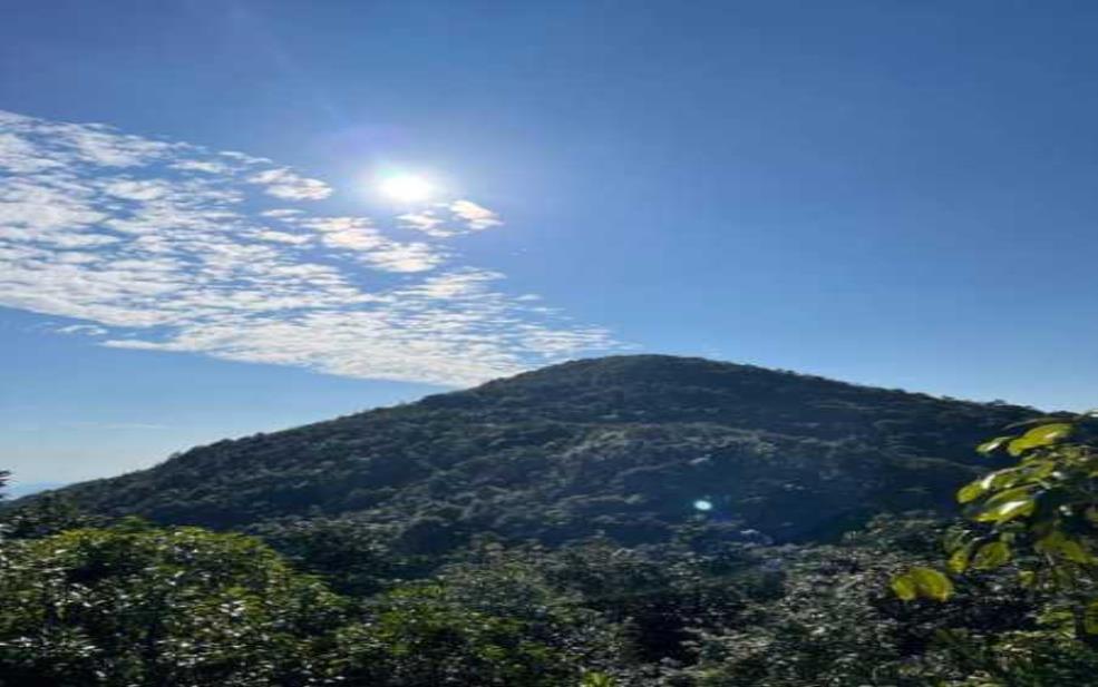 从化天气烧伤岭天气，适合出游吗？ 