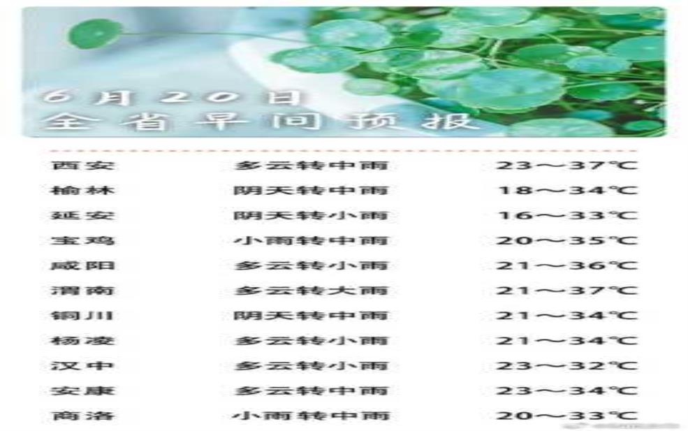 施泰因天气, 今天的天气预报是什么?