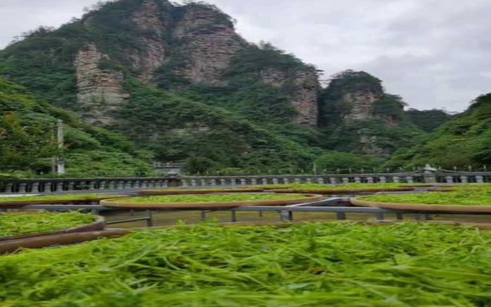  阿坡岩天气, 适合出行的最佳时机是什么？ 