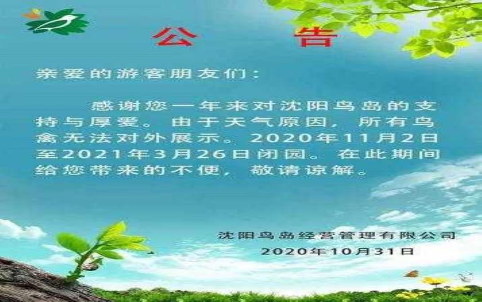 鸟岛一周天气, 周末出行需知的信息