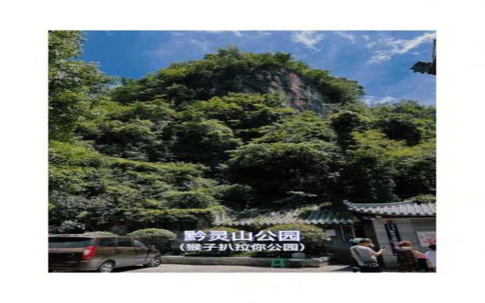  黔灵山天气分析,适合出游的最佳时机是什么？ 