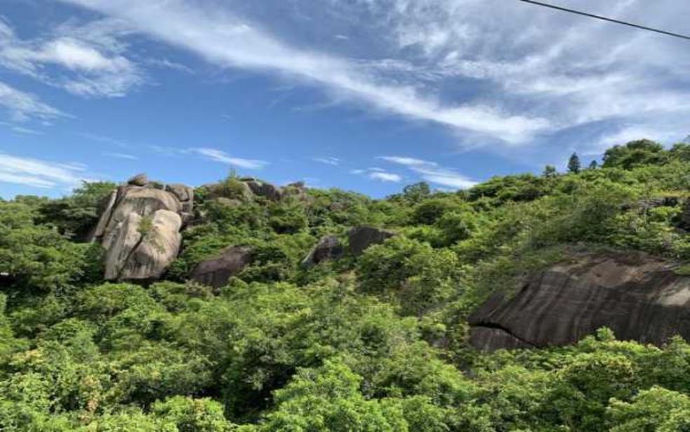 东岭山:探秘壮美自然风光的最佳去处