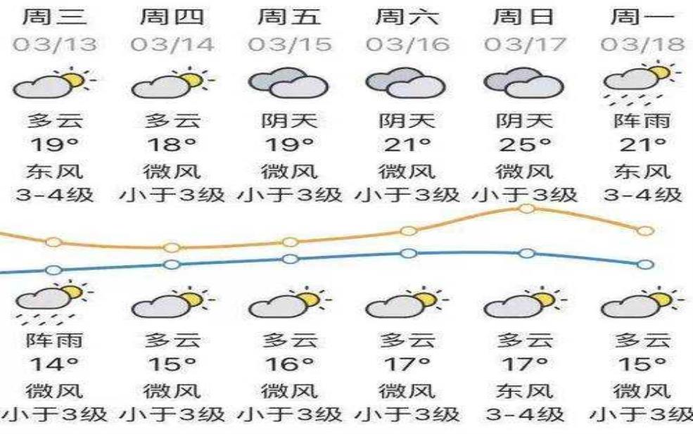 新宁县天气预报, 今天天气如何?