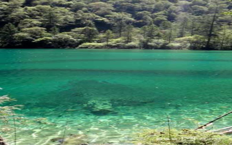 熊猫海在哪里,探寻这个神秘的旅游胜地
