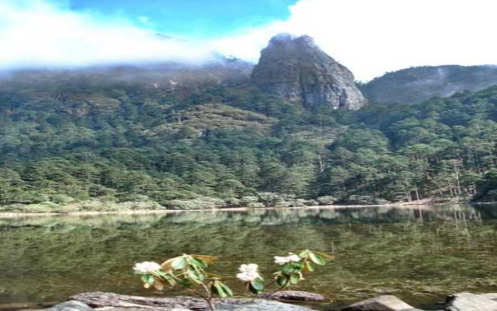  螺岗岭的迷人风光,适合哪些旅行者？ 