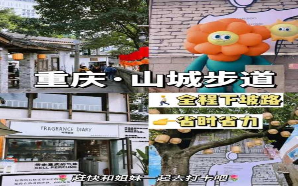 重庆山城步道攻略, 如何畅游这座迷人城市?